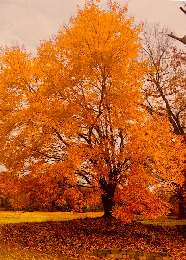 Golf Course «Gunpowder Golf Course», reviews and photos, 14300 Old Gunpowder Rd, Laurel, MD 20707, USA