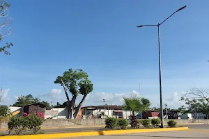 "LA DANZA DE EL CABALLITO BLANCO" Park image