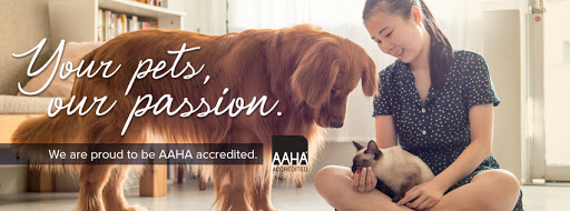 Creekside Animal Clinic, PA image