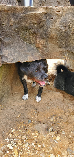 Dog Park «MacArthur Dog Park», reviews and photos, 601 E 9th St, Little Rock, AR 72202, USA