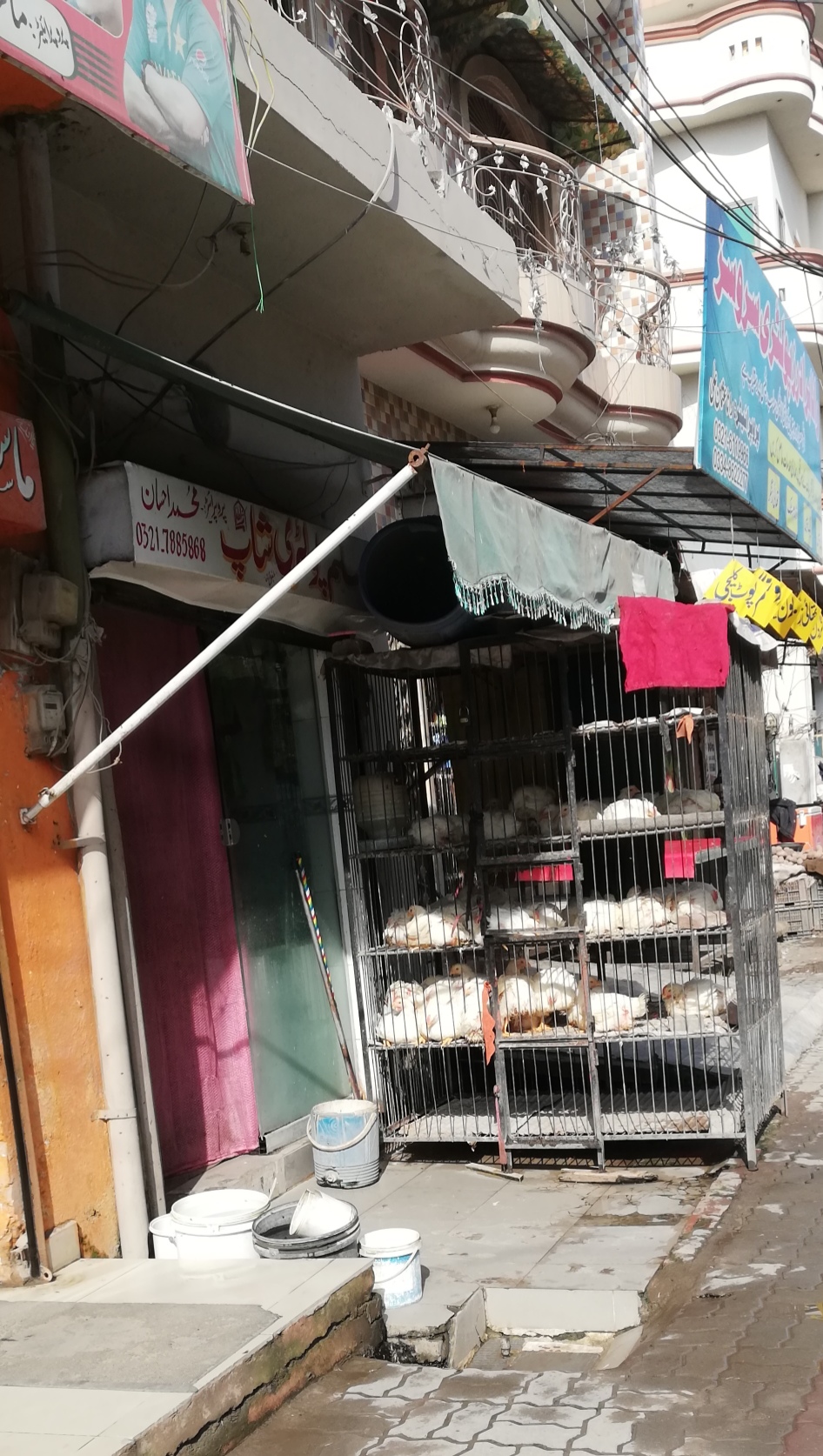 Saleem Poltry Shop