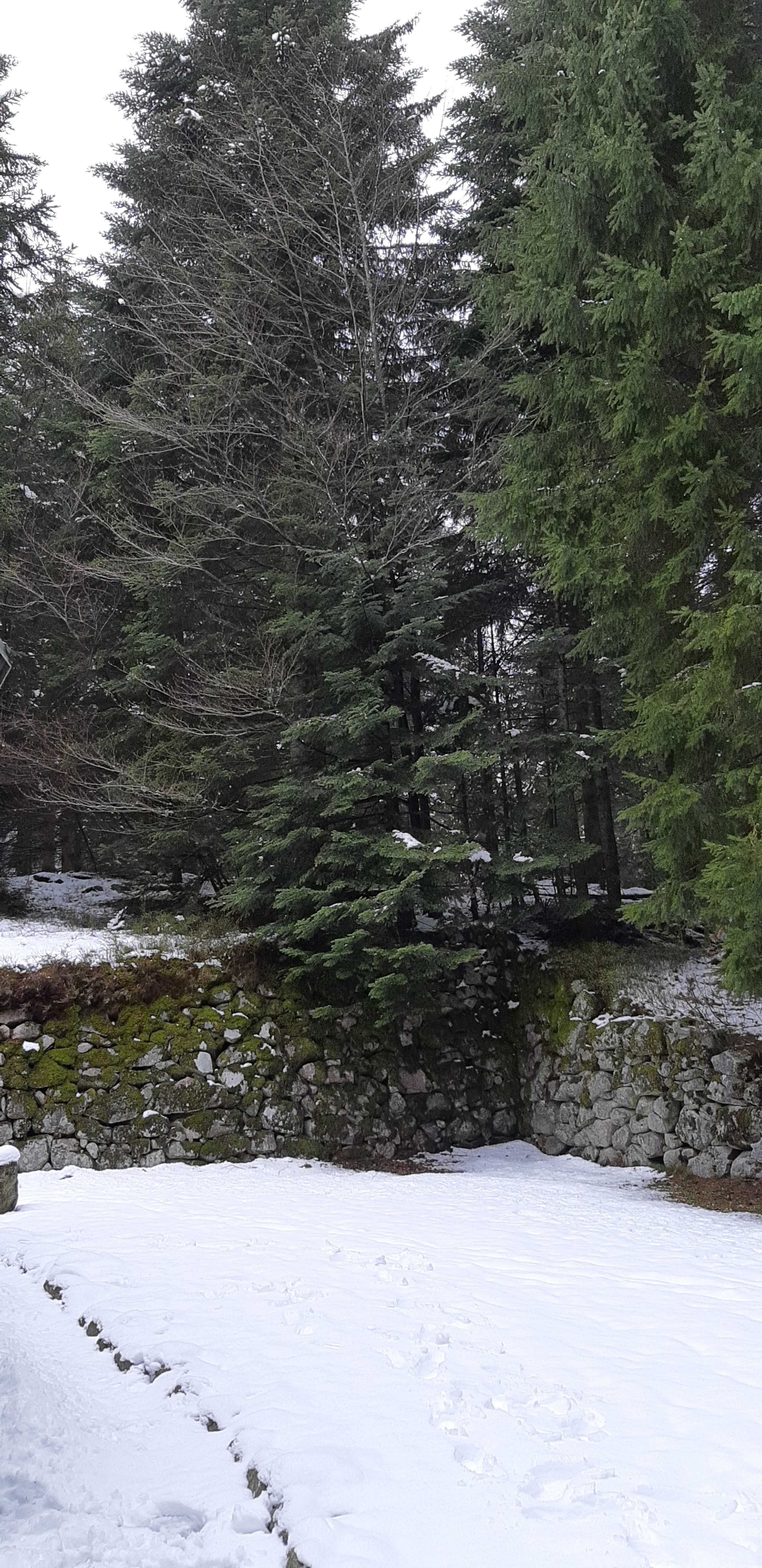Photo n° 14 de l'avis de betty.o fait le 14/04/2019 à 10:33