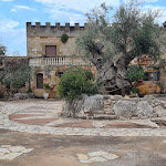 Photo n°2 de l'avis de Fernando.o fait le 10/07/2022 à 14:28 sur le  Tenute Al Bano à Cellino San Marco