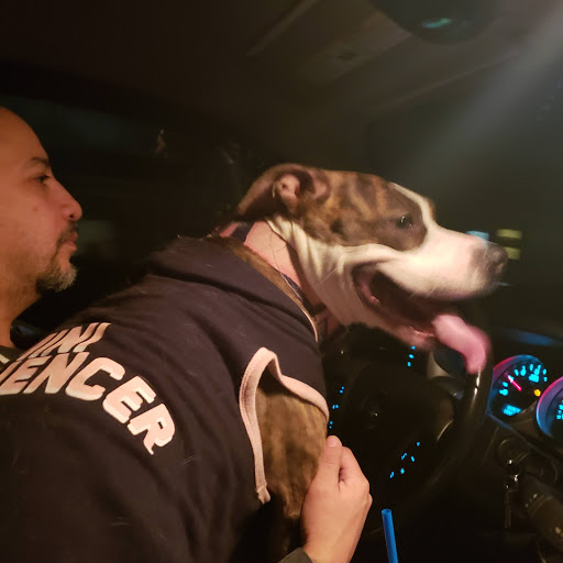 Pet Supply Store «Pet Supplies Plus», reviews and photos, 1791 W Columbia Ave, Battle Creek, MI 49015, USA