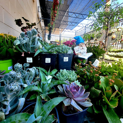 Hardware Store «DIY Center», reviews and photos, 3221 W Magnolia Blvd, Burbank, CA 91505, USA