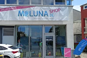 Moluna GmbH image