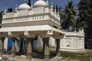 Tipu Sultan Family Burial Ground & Mosque image