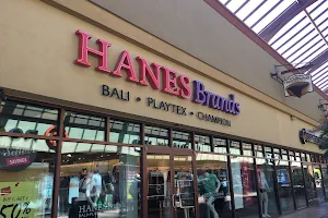 Hanesbrands image