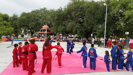 Olimpo Academy Las Puentes - San Nicolas - Taekwondo, MMA, JiuJitsu, Box