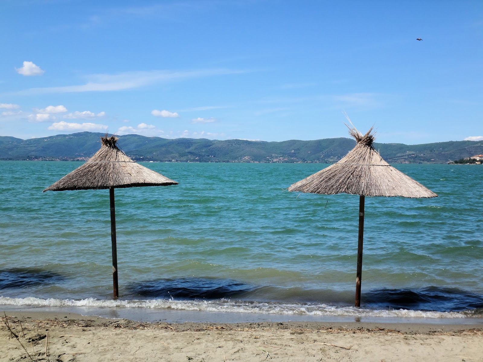 Foto di Spiaggia dell Isola Polvese con una costa dritta