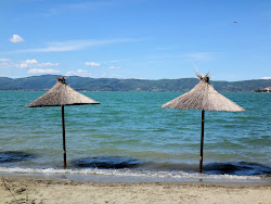 Foto von Spiaggia dell Isola Polvese mit grünes wasser Oberfläche