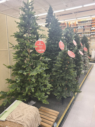 Craft Store «Hobby Lobby», reviews and photos, 1525 S Willow St, Manchester, NH 03103, USA