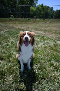 Creekside Pet Center - Photo 9 - Car repair in Columbia, MO, Columbia