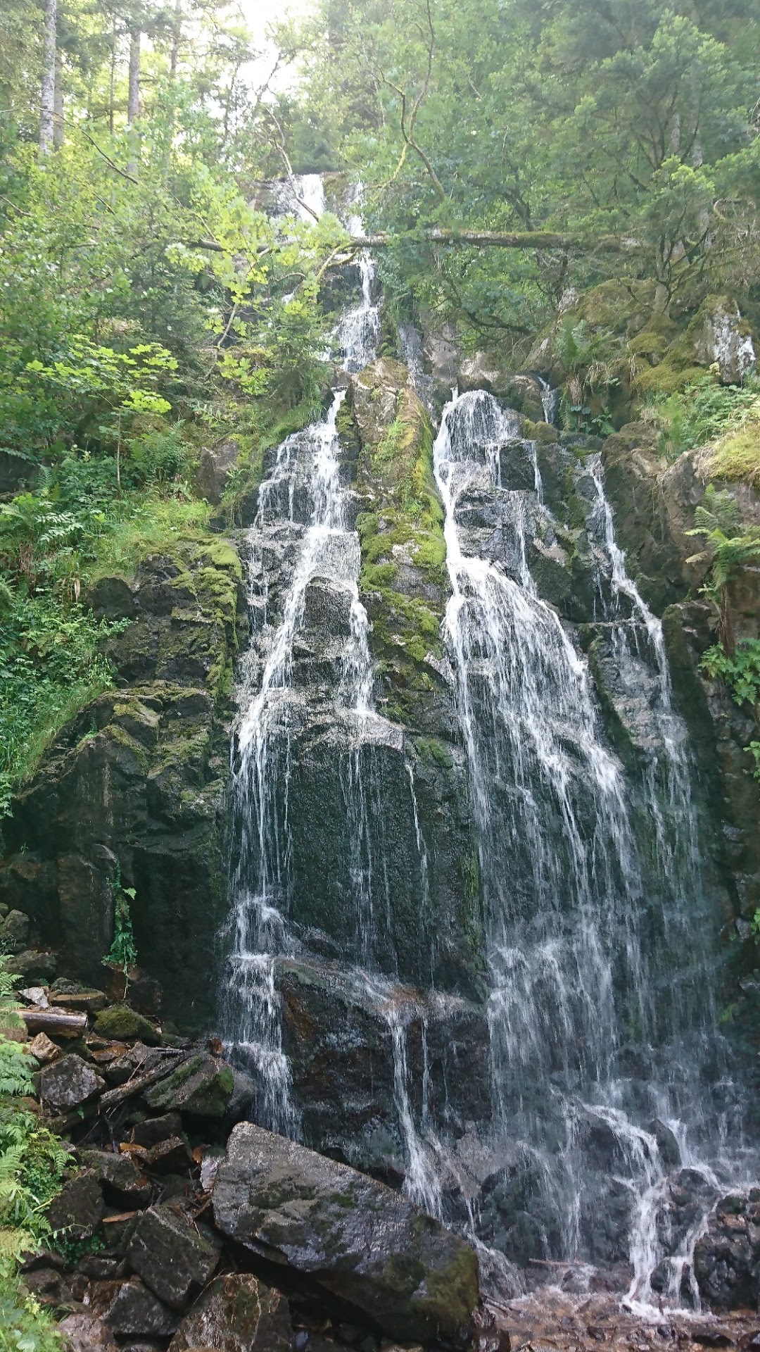 Photo n° 1 de l'avis de Pascal.i fait le 28/07/2018 à 22:51
