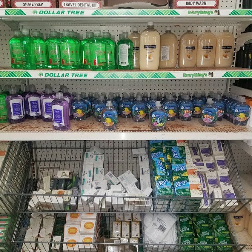 Dollar Store «Dollar Tree», reviews and photos, 1010 Mt Prospect Plaza, Mt Prospect, IL 60056, USA
