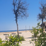 Photo n°2 de l'avis de Anna.o fait le 12/04/2024 à 21:05 sur le  Il Marcopolo à Giovinazzo