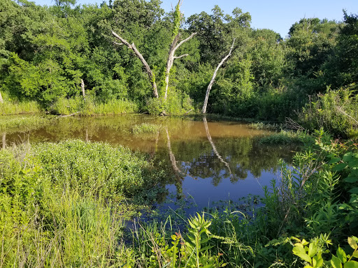 Ecological park Arlington