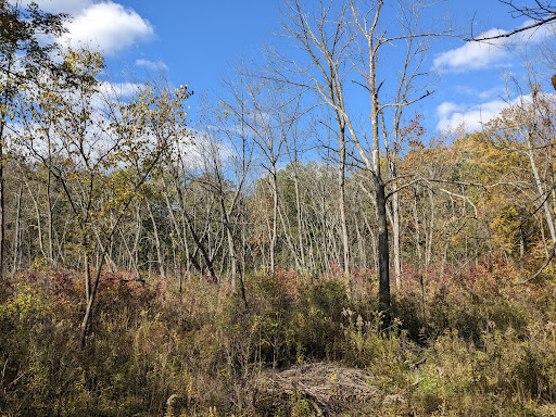 Nature Preserve «Cook County Forest Preserve», reviews and photos, 1700 N Quentin Rd, Palatine, IL 60074, USA