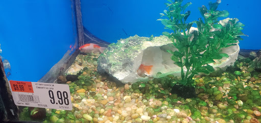 Pet Supply Store «Pet Supplies Plus», reviews and photos, 8703 W Grand River Ave, Brighton, MI 48116, USA