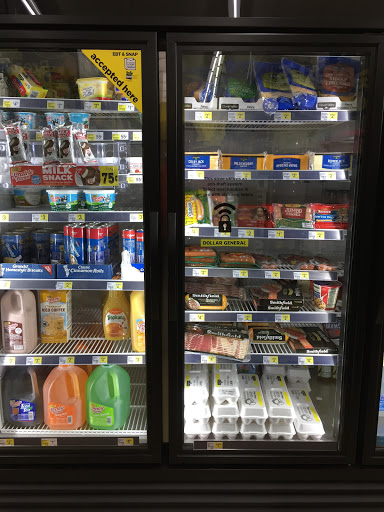 Discount Store «Dollar General», reviews and photos, 3901 Fort St, Wyandotte, MI 48192, USA