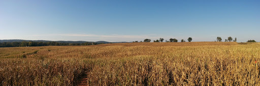 Festival «Temple Hall Fall Festival & Corn Maize», reviews and photos, 15855 Limestone School Rd, Leesburg, VA 20176, USA