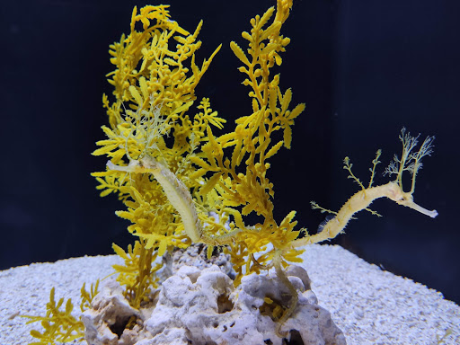 Shopping Mall «Newport on the Levee», reviews and photos, 1 Levee Way, Newport, KY 41071, USA