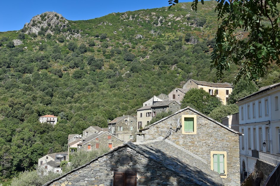 Vignale Location Vacances Corse à Vignale