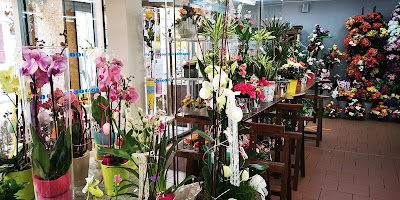 Le Coin Fleuri à Schirmeck