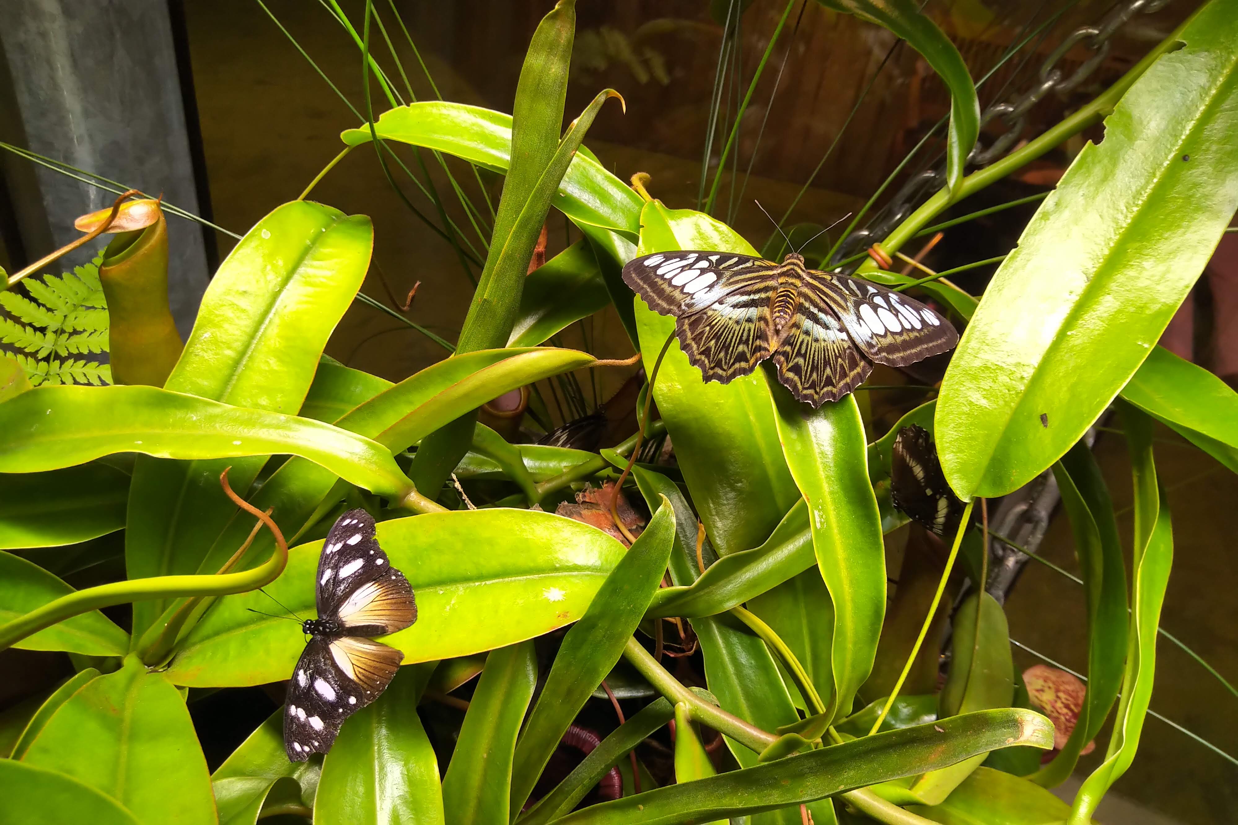 Photo n° 3 de l'avis de Deborah. fait le 09/08/2022 à 08:44