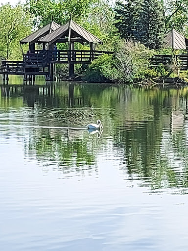 Park «Belmar Park», reviews and photos, 801 S Wadsworth Blvd, Lakewood, CO 80226, USA