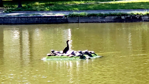 Park «Bowne Park», reviews and photos, 156-17 29th Ave, Flushing, NY 11354, USA