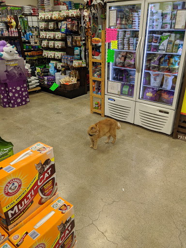 Pet Supply Store «Premier Pet Supply», reviews and photos, 15399 Merriman Rd, Livonia, MI 48154, USA