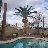 Daniel's Lawn Care Services LLC - Photo 6 - Car repair in , Las Vegas