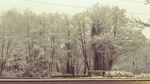 Park «Scriber Lake Park», reviews and photos, 5601 198th St SW, Lynnwood, WA 98036, USA