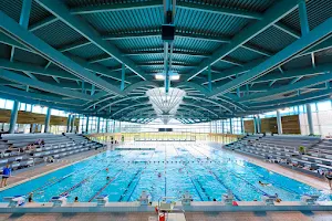 Dijon Olympic Pool image