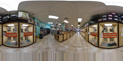 Pet Store «Petland - Ft. Myers», reviews and photos, 7091-13 College Pkwy, Fort Myers, FL 33907, USA