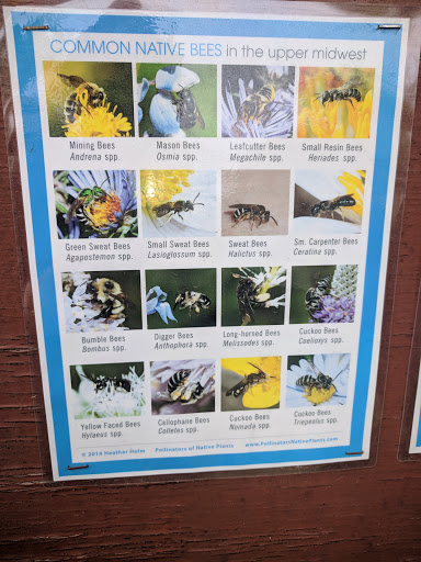 Nature Preserve «Southwood Nature Preserve», reviews and photos, 2651 Holloway Ave E, North St Paul, MN 55109, USA