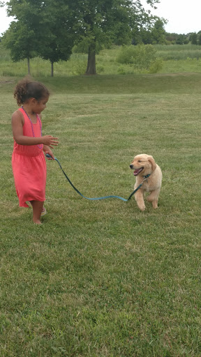 Park «Tuscany Trail Park», reviews and photos, 445 Grape Vine Trail, Oswego, IL 60543, USA