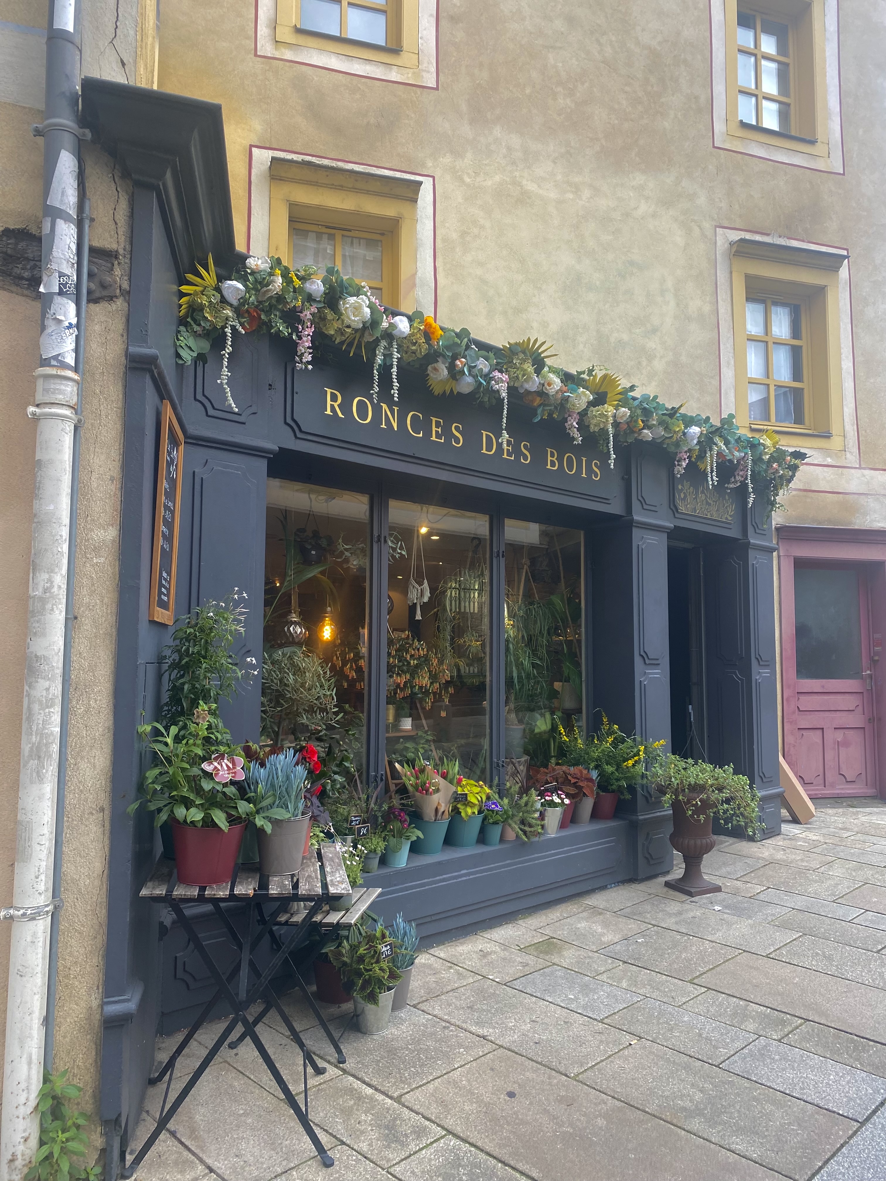 Photo n° 1 de l'avis de Océane.o fait le 08/02/2022 à 16:20