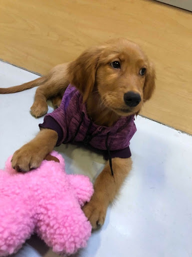 Pet Store «Pet Express», reviews and photos, 100 Independence Way, Danvers, MA 01923, USA