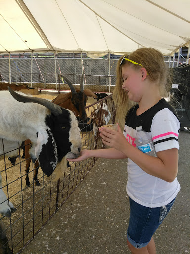 Museum «Stockyards Museum», reviews and photos, 131 E Exchange Ave # 113, Fort Worth, TX 76164, USA