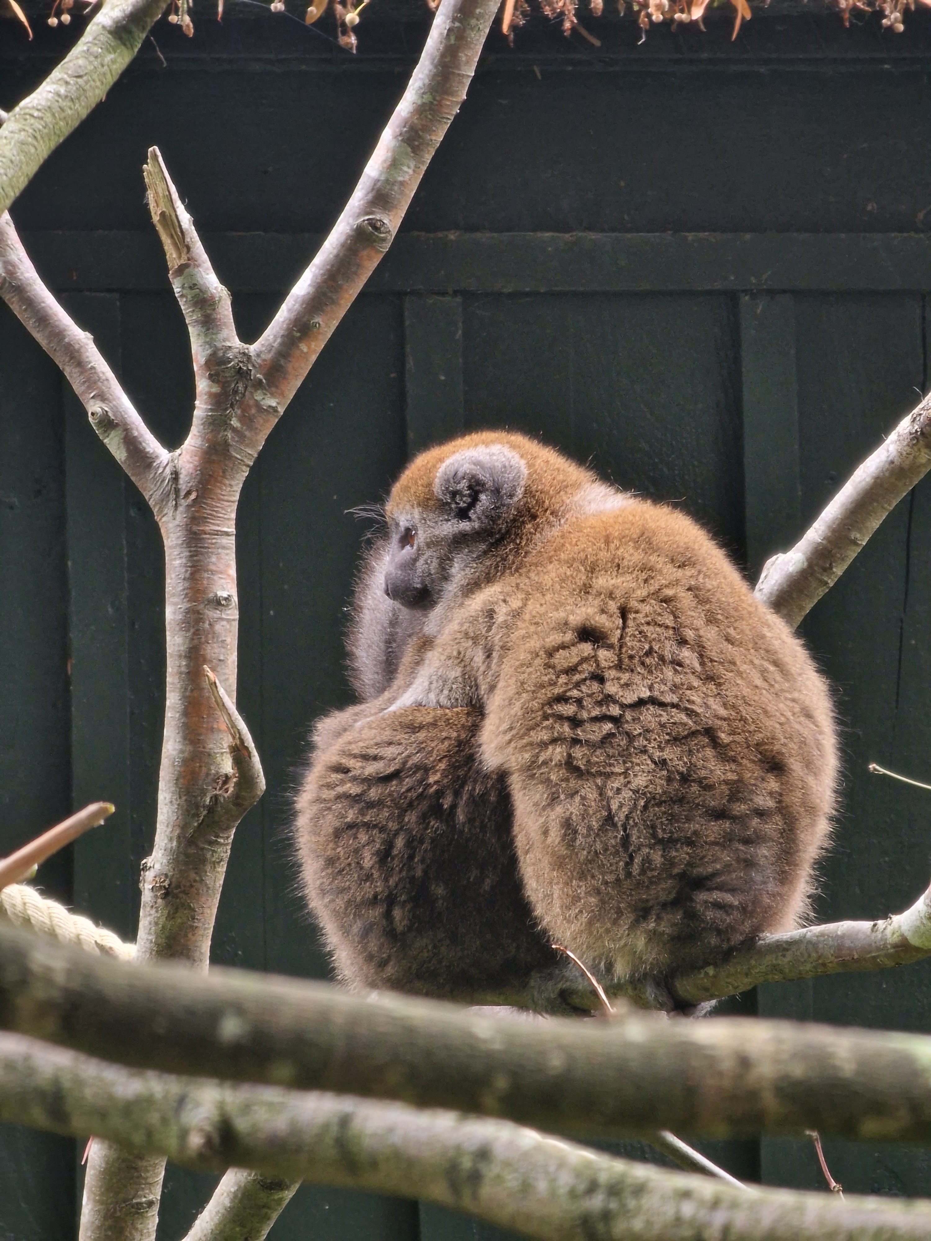 Photo n° 1 de l'avis de Jeanne.o fait le 15/08/2023 à 15:06