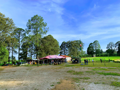 Santuario de la Luciérnaga Paraje El Madroño