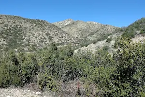 Plum Canyon Park image