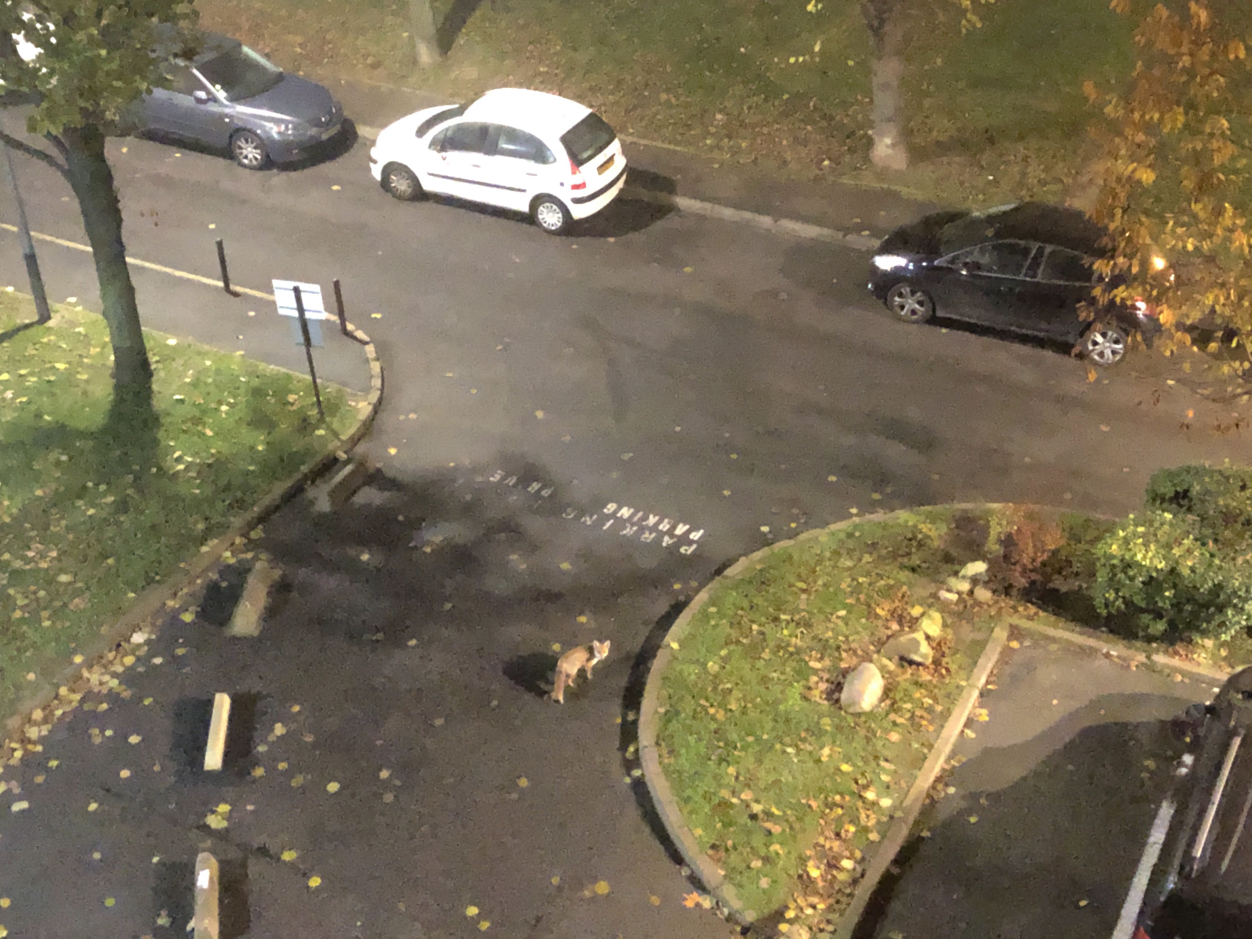 Photo n° 4 de l'avis de Ibra. fait le 15/01/2020 à 03:17