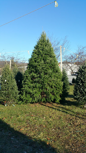 Garden Center «Hilltop Nursery & Garden Center», reviews and photos, 2028 Albany Post Rd, Croton-On-Hudson, NY 10520, USA