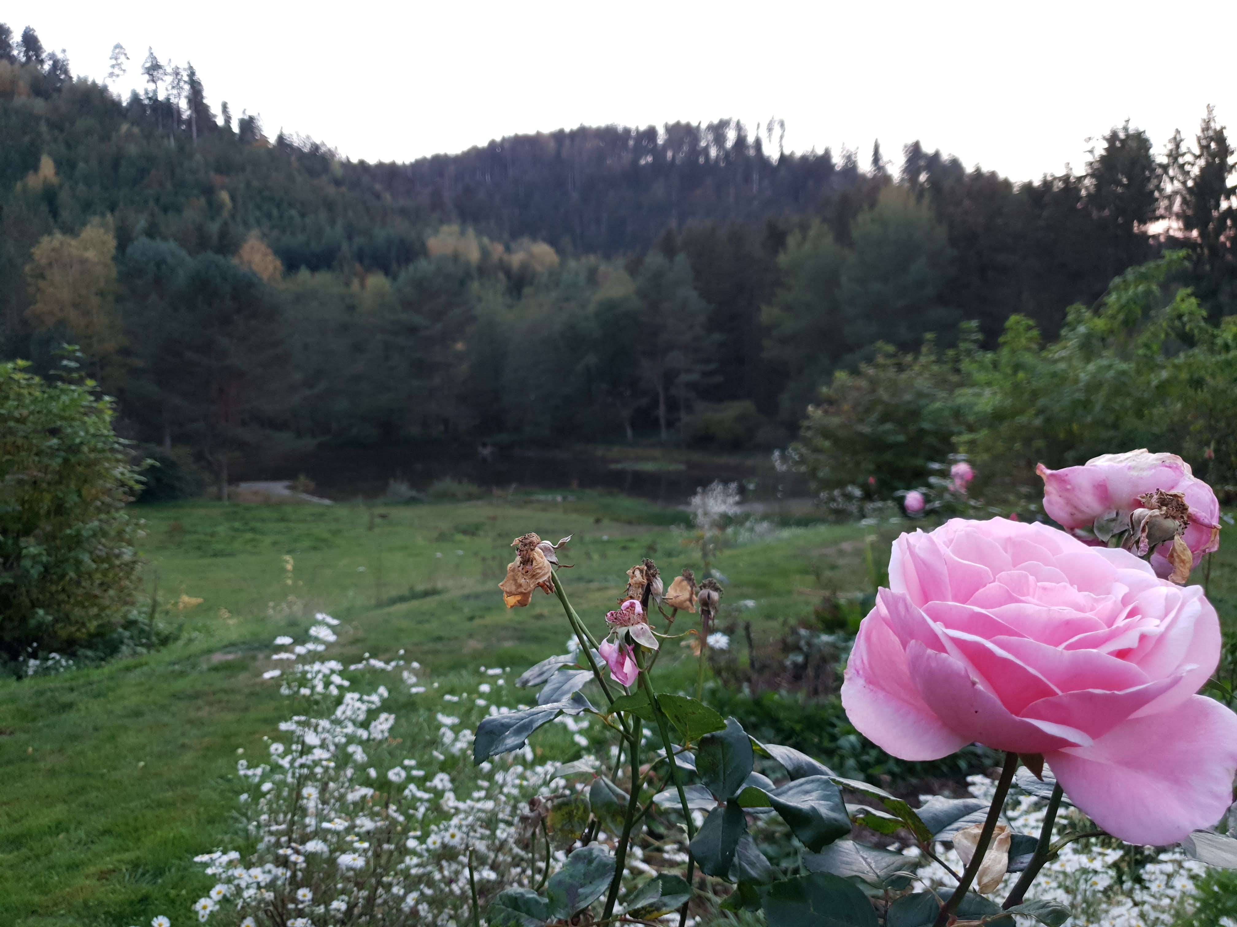 Photo n° 1 de l'avis de Vincent.u fait le 16/10/2018 à 19:42
