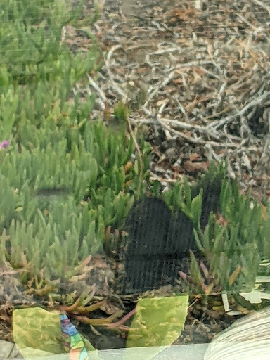 Thrift Store «Goodwill», reviews and photos, 226 Mt Hermon Rd, Scotts Valley, CA 95066, USA