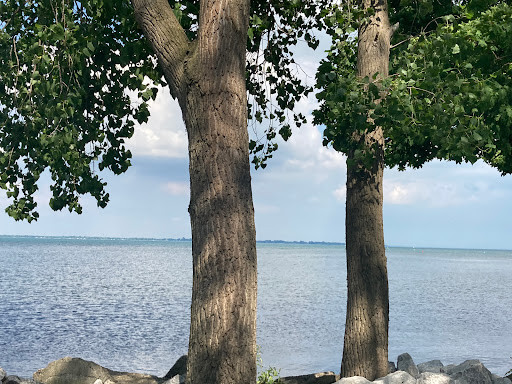 Park «Lake Erie Metropark», reviews and photos, 32481 W Jefferson Ave, Brownstown Charter Twp, MI 48173, USA