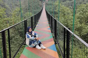 Wisata Jembatan Gantung Rawayan Bogor image